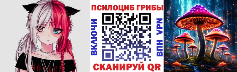 Галлюциногенные грибы прущие грибы  Нахабино 